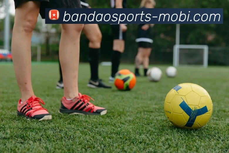 半岛体育平台生态图