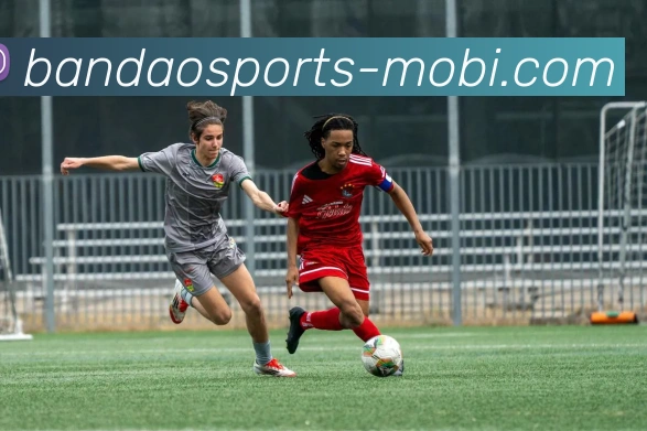 半岛体育APP 封面图